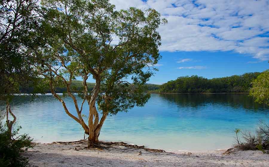 About Fraser Island