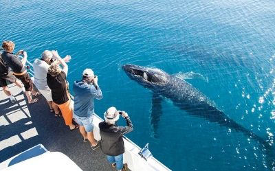 K&#039;gari (Fraser Island) Tours &amp; Cruises